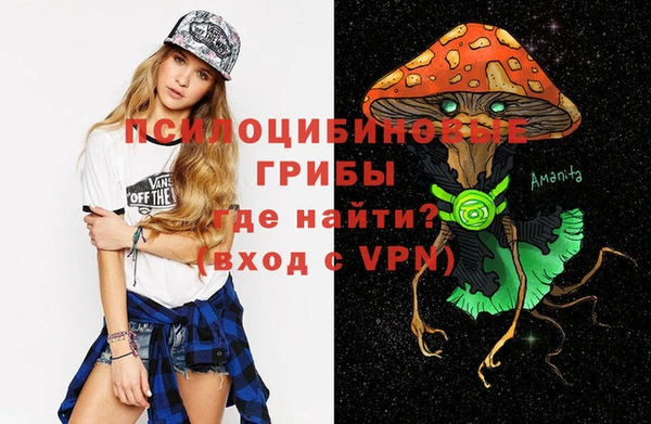 молекула духа Абинск