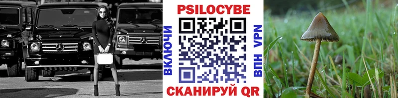 ссылка на мегу tor  Оренбург  Псилоцибиновые грибы Cubensis 
