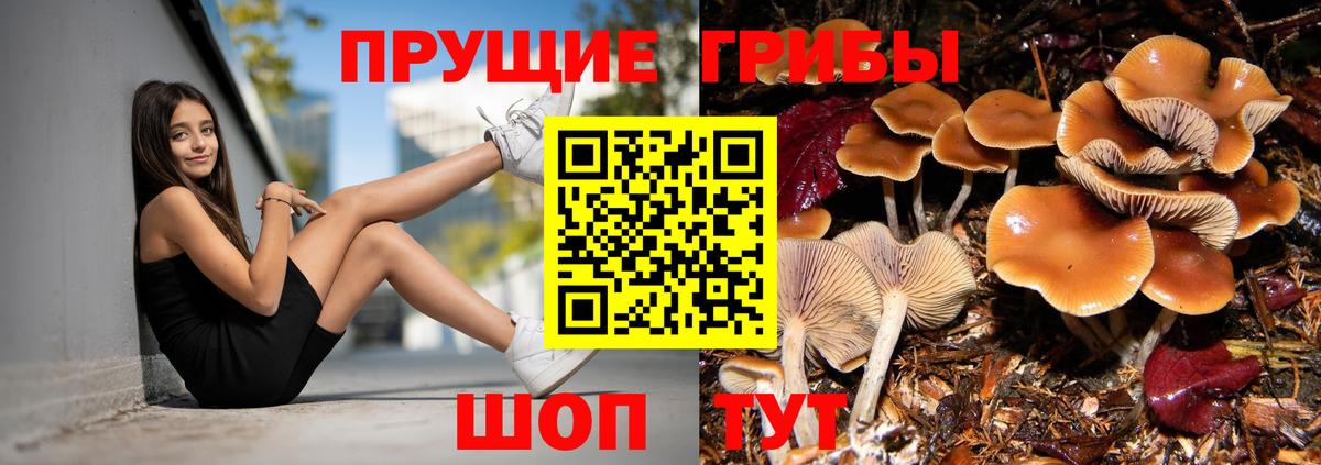 Псилоцибиновые грибы GOLDEN TEACHER Оренбург