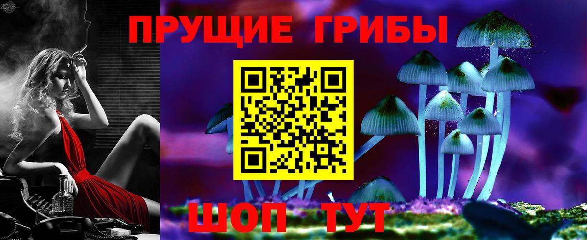 Галлюциногенные грибы Cubensis  Псилоцибиновые грибы прущие грибы  Вход с VPN  Оренбург 